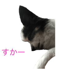 [LINEスタンプ] ひねくれきな坊の1日 