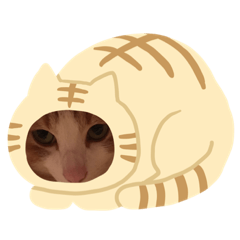 [LINEスタンプ] 加藤家 お正月 