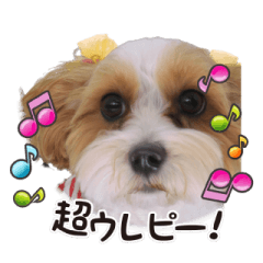 [LINEスタンプ] -まりん-