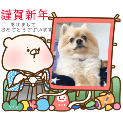 [LINEスタンプ] pomemeちゃん 