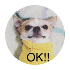 [LINEスタンプ] スムースチワワのジェイさんとピーちゃん 