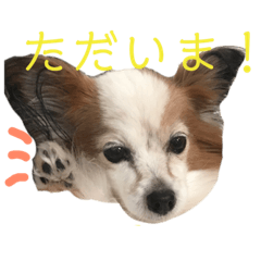 [LINEスタンプ] まろん ☆