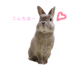 [LINEスタンプ] モカちゃんズ2 