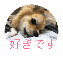 [LINEスタンプ] くぅスタンプ 1 