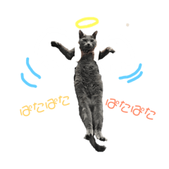 [LINEスタンプ] ロシブルのソレイユすたんぷ 