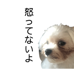 [LINEスタンプ] いろんな…き・も・ち