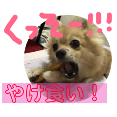 [LINEスタンプ] ツナときどき空 