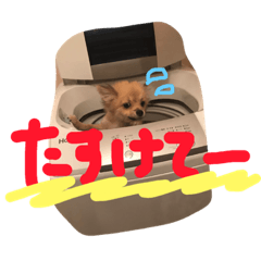 [LINEスタンプ] ツナときどき空2 
