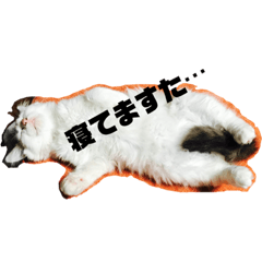 [LINEスタンプ] ハルくんといっしょ 