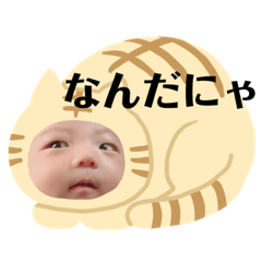 [LINEスタンプ] 大好き太星ぴょん⭐️