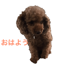 [LINEスタンプ] 我が家のイヌネコひとこと fetchpriority=high