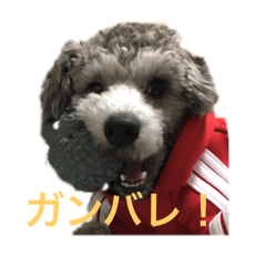 [LINEスタンプ] Lion′s life☆ 
