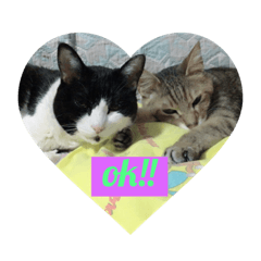 [LINEスタンプ] ポケトラ 