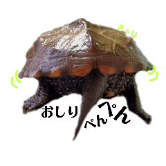 [LINEスタンプ] ごんちゃんと愉快な仲間たち