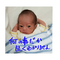 [LINEスタンプ] 赤ちゃんの一言 
