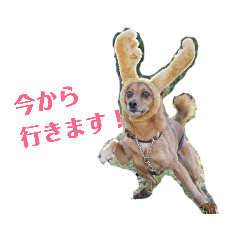 [LINEスタンプ] 雑種のむーやんその3