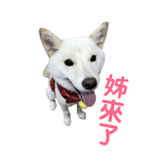 [LINEスタンプ] 私の名前は丸米財です。 
