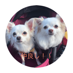 [LINEスタンプ] さくちゃんけいちゃん