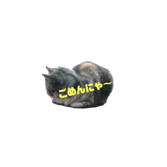 [LINEスタンプ] ミケとキキ③