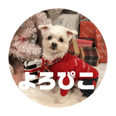 [LINEスタンプ] そらでござる2