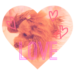 [LINEスタンプ] ♡Fran♡フラン♡ふらん♡ 