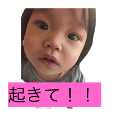 [LINEスタンプ] 蓮ちゃん初スタンプ 