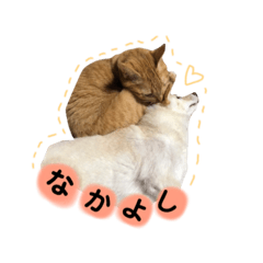 [LINEスタンプ] 寧々ちゃんスタンプ2018