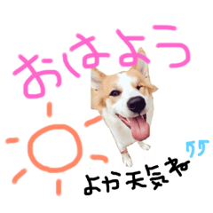 [LINEスタンプ] 旅人withわんにゃんs♡