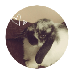 [LINEスタンプ] 愛兎ノア♡ 