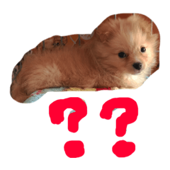 [LINEスタンプ] ふわまるスタンプ 1 