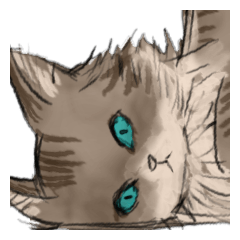 [LINEスタンプ] 気になる生物スタンプ 