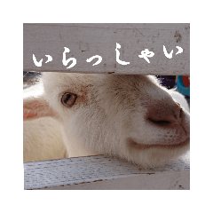 [LINEスタンプ] いろいろなどうぶつ 
