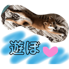 [LINEスタンプ] エル柴3