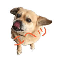 [LINEスタンプ] ぎんの日常2。