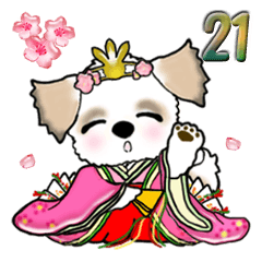 [LINEスタンプ] シーズー犬(初春) Vol.21の画像（メイン）