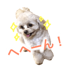 [LINEスタンプ] 我が家のぽんず 