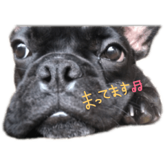 [LINEスタンプ] ビンスくん。