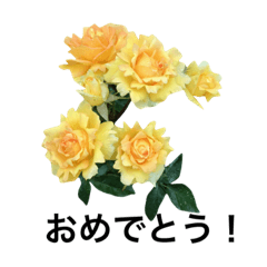 [LINEスタンプ] yasuおばさんの薔薇のささやき3