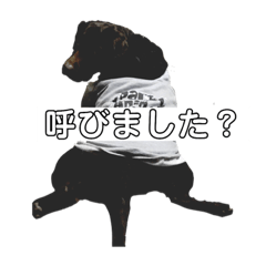 [LINEスタンプ] チョコラブの日常1 