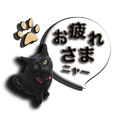 [LINEスタンプ] 黒猫のクロダさん