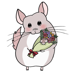 [LINEスタンプ] チンチラのむいむい2 