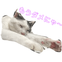 [LINEスタンプ] ミックくんです 