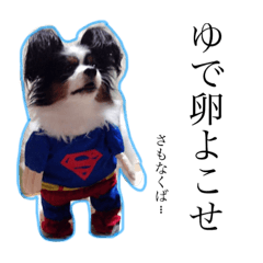 [LINEスタンプ] 愛犬マック