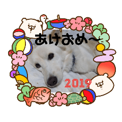 [LINEスタンプ] すっとぼけちょび
のスタンプ