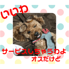 [LINEスタンプ] 大人になったマロンちゅわん
