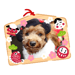 [LINEスタンプ] トイプードル  J     お正月編 