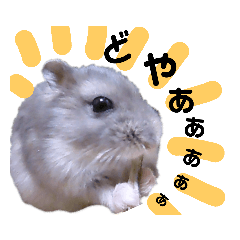 [LINEスタンプ] じゃんがりあんのなっとう