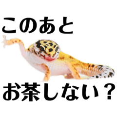 [LINEスタンプ] ぺろの日常 