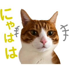 [LINEスタンプ] オレ福丸 
