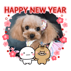 [LINEスタンプ] アンジーのご挨拶！Part2